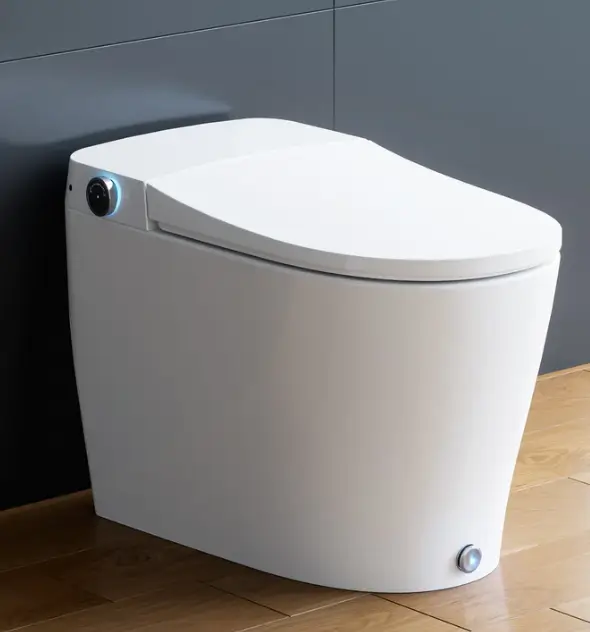 HOROW Best Bidet Toilet Combo Heated Toilet Seat Elongated Model T05
