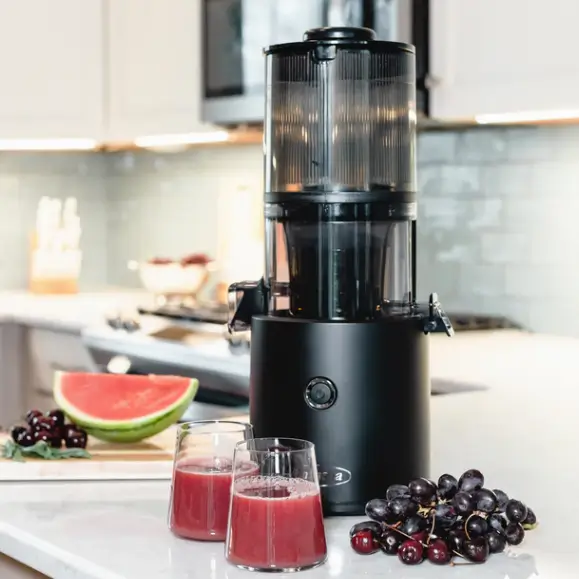 Omega Effortless Batch Juicer