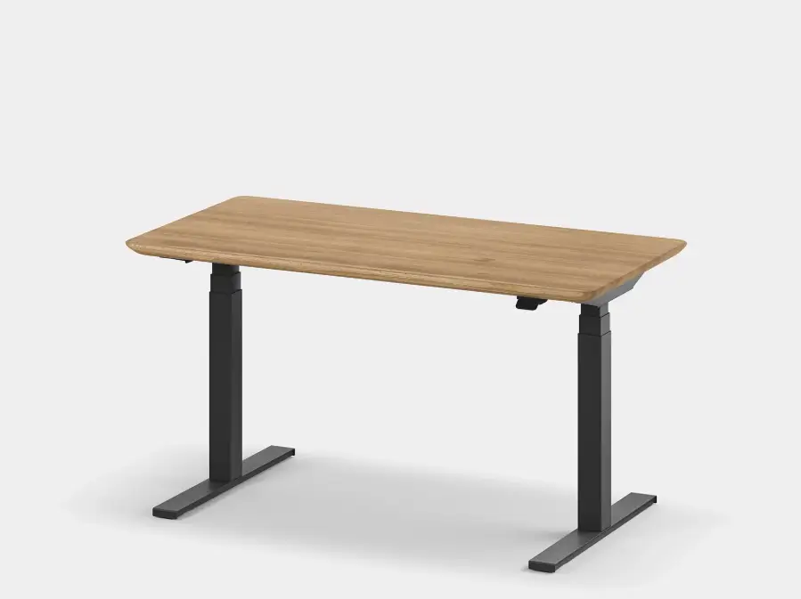 Standing Desk Pro